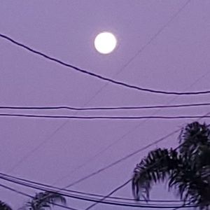 Meet your Posher, Valerie